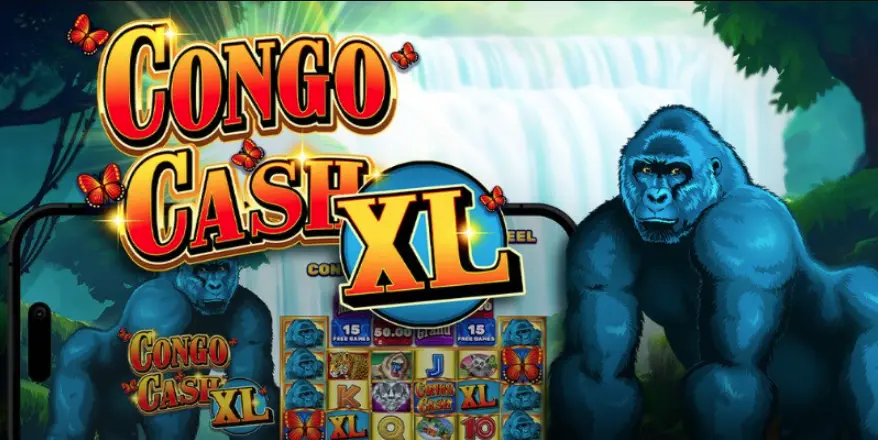 Congo Cash XL